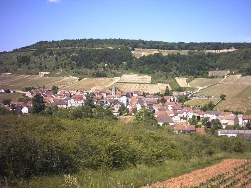 Le Lodge Du Parc Beaune  Exterior photo